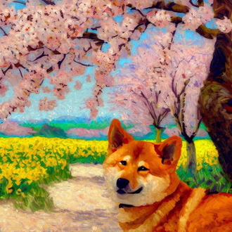 絵画 柴犬と桜.jpg
