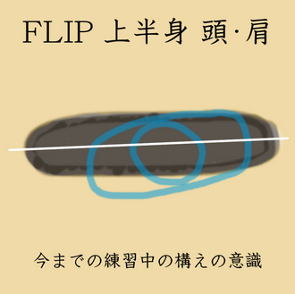 FLIP 上半身 上図1.jpg