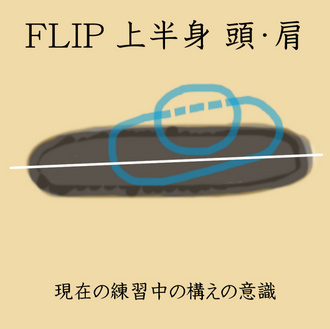 FLIP 上半身 上図2.jpg